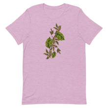 画像をギャラリービューアに読み込む, Atelier Pāpālina Lau